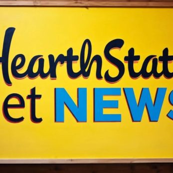 HearthStats Net News: Latest Updates and Insights